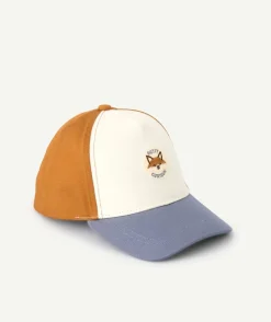 Casquette bébé colorblock imprimé renard