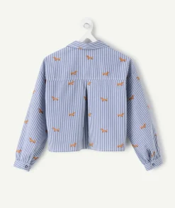 Chemise fille manches longues imprimé rayé