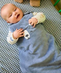Gigoteuse naissance garçon bleu imprimé ours