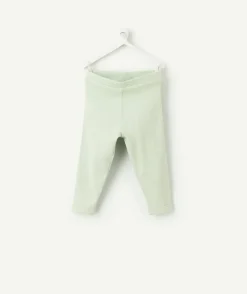Legging bébé fille coton vert clair