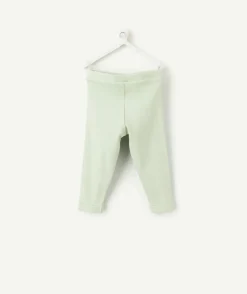 Legging bébé fille coton vert clair