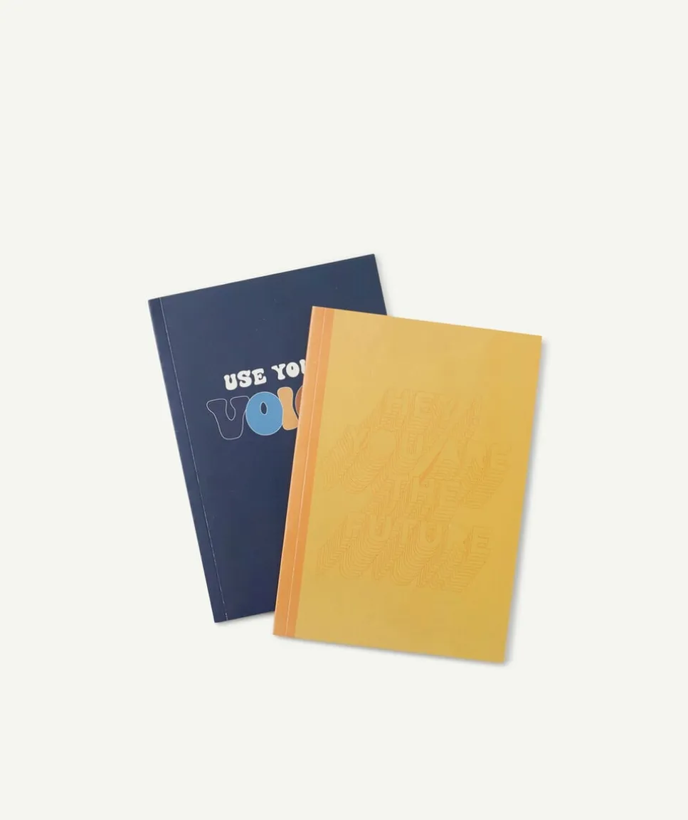 Le lot de 2 carnet jaune ou bleu avec lignes
