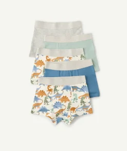 Lot 5 boxers garçon imprimé dinosaures