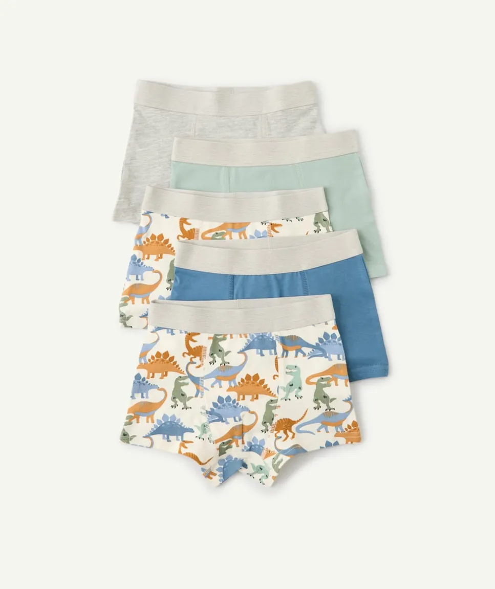 Lot 5 boxers garçon imprimé dinosaures