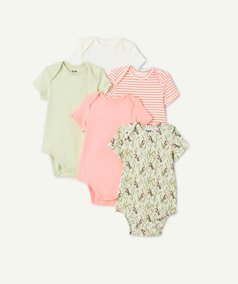 Lot de bodies bébé fille coton imprimés