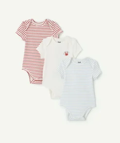 Lot de 3 bodies naissance garçon coton rayés imprimé