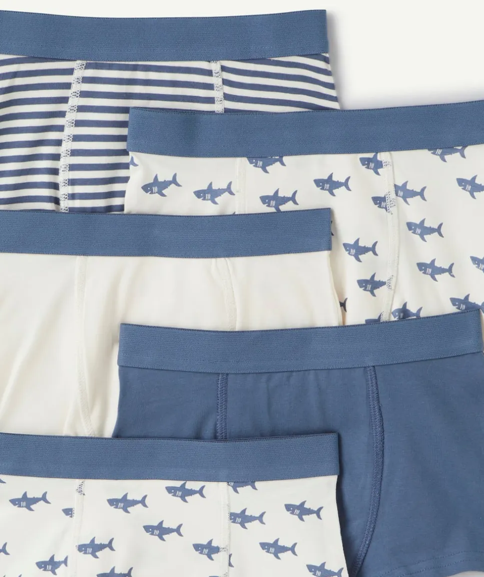 Lot de boxers garçon coton imprimé