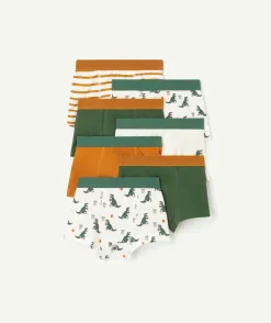 Lot de 7 boxers pour garçon thème dinosaures