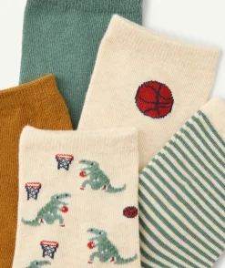 Lot de chaussettes dinosaures garçon