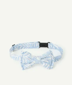 Nœud papillon imprimé bleu clair