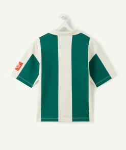 Polo garçon droit rayé vert
