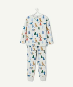 Pyjama chaud molletonné garçon gris imprimé dinosaures