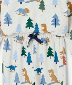 Pyjama chaud molletonné garçon gris imprimé dinosaures