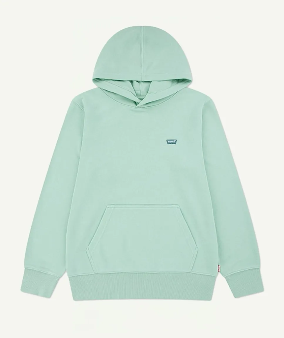 Sweat à capuche garçon vert
