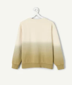 Sweat garçon droit dégradé